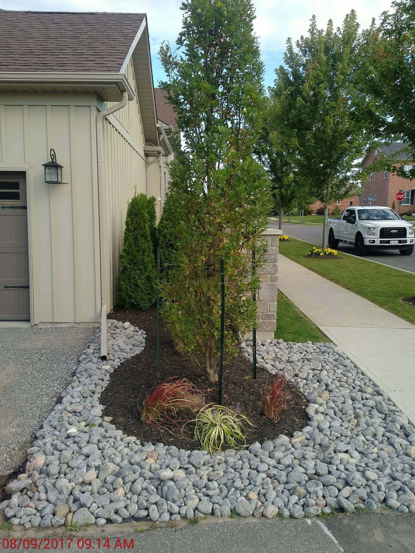 Rock garden in front of house with tree.