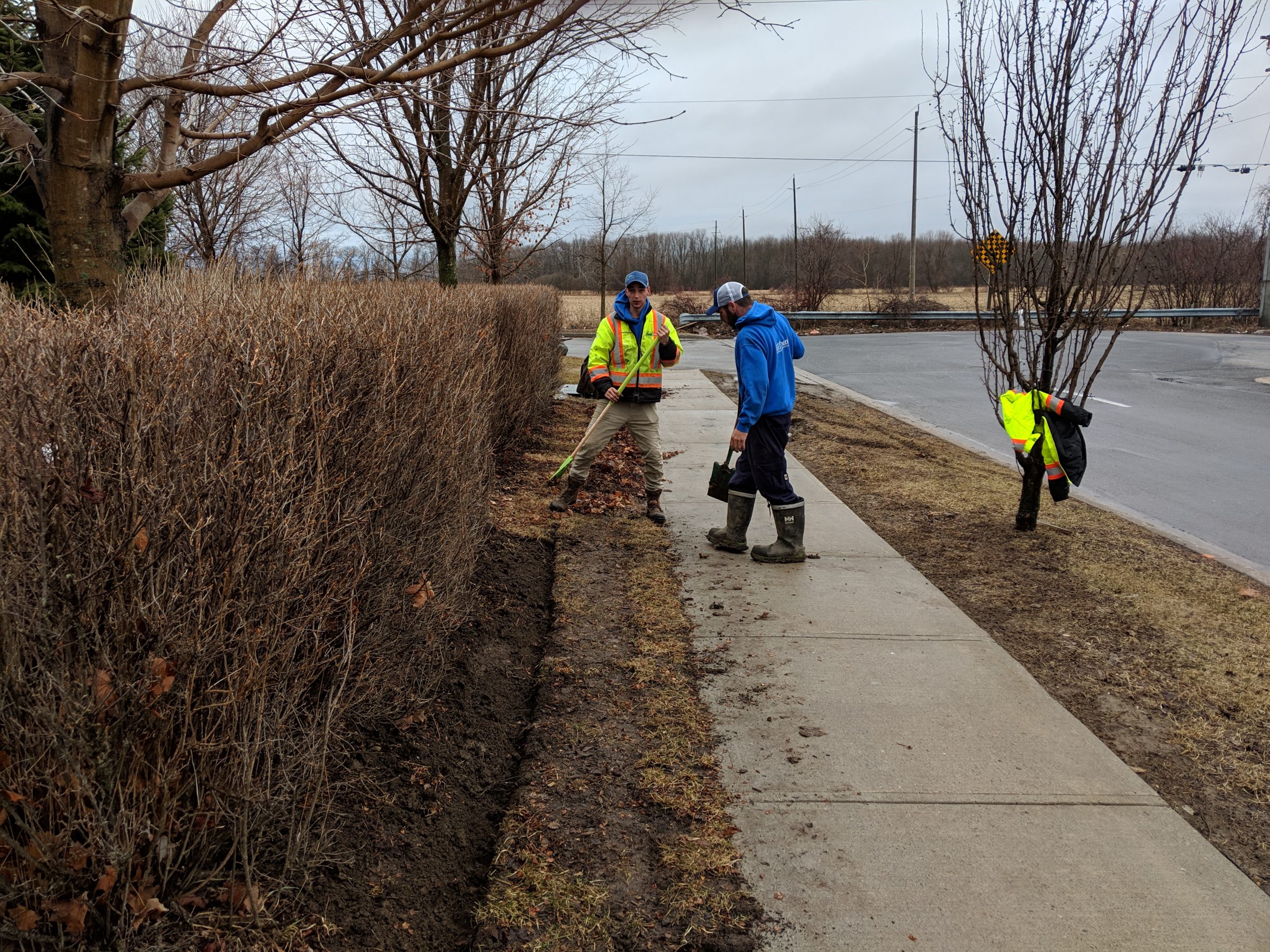 Workers clearing leaves from sidewalk edge