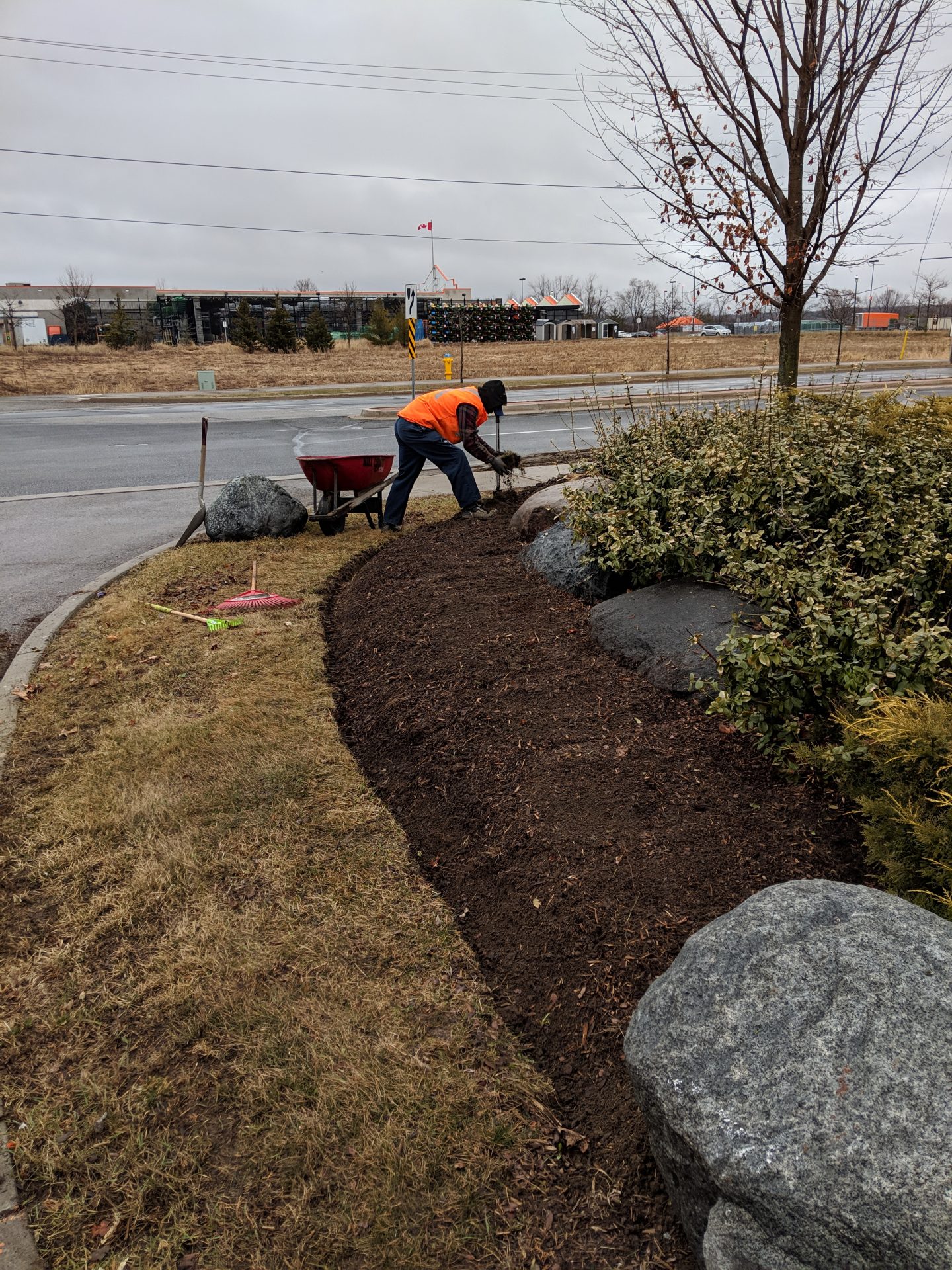 Gardener spreading mulch near roadside landscape.