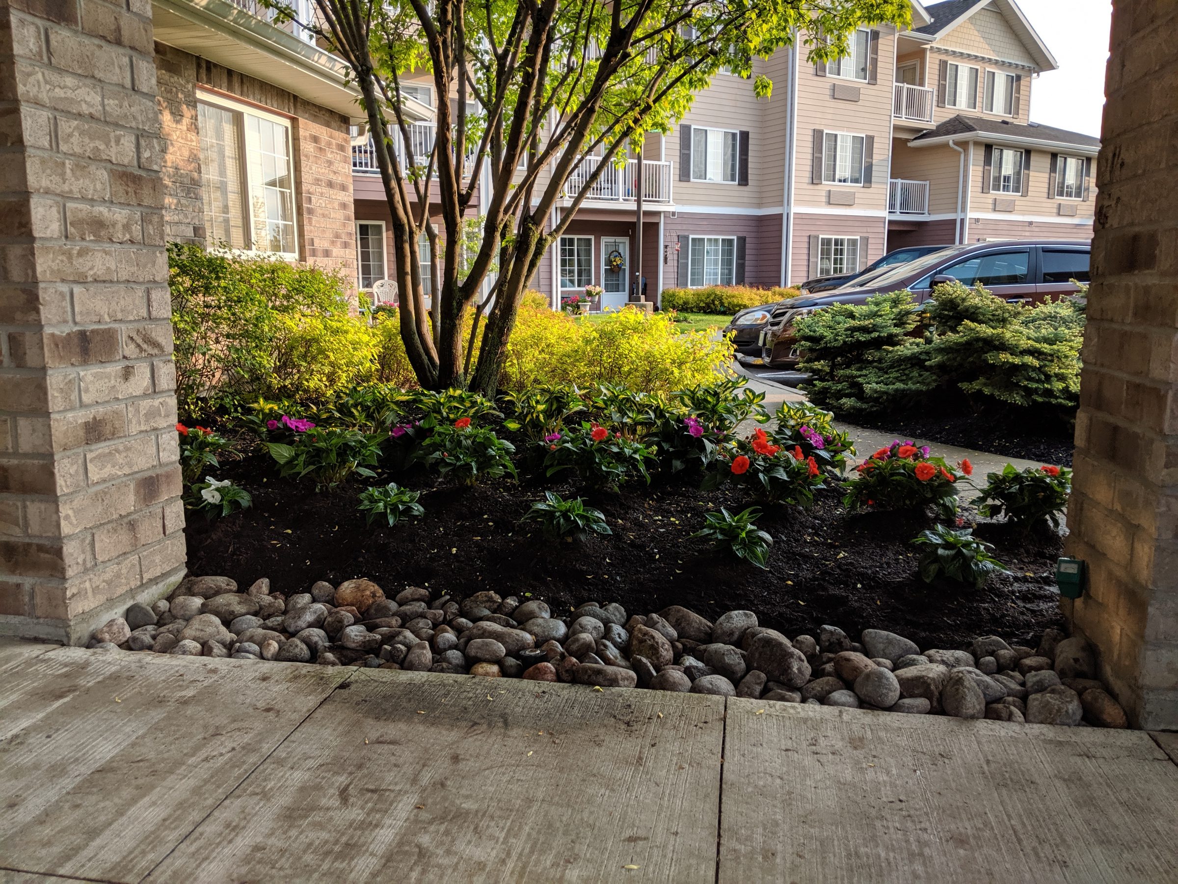 Apartment complex garden with colorful flowers.