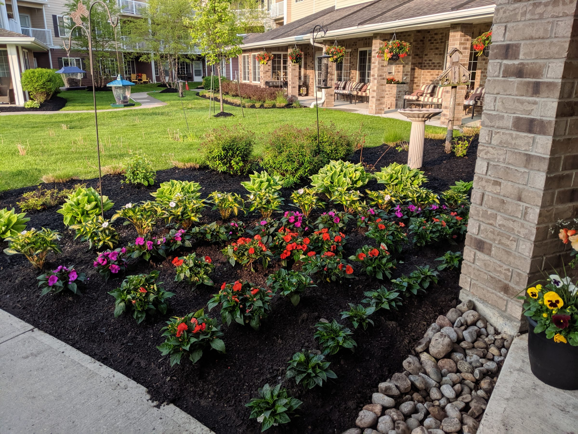 Colorful garden with flowers outside a building