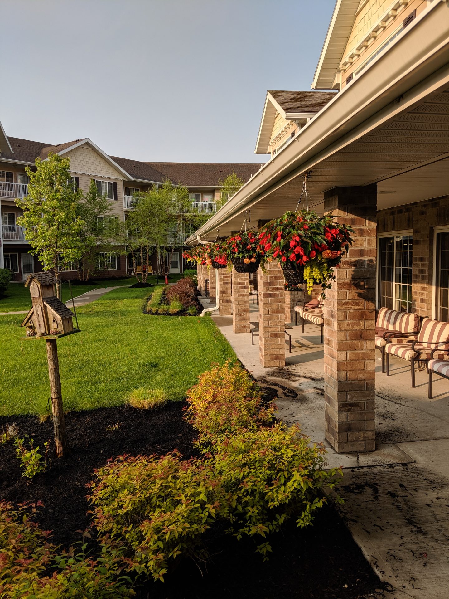 Sunny courtyard with flowers and apartment balconies.