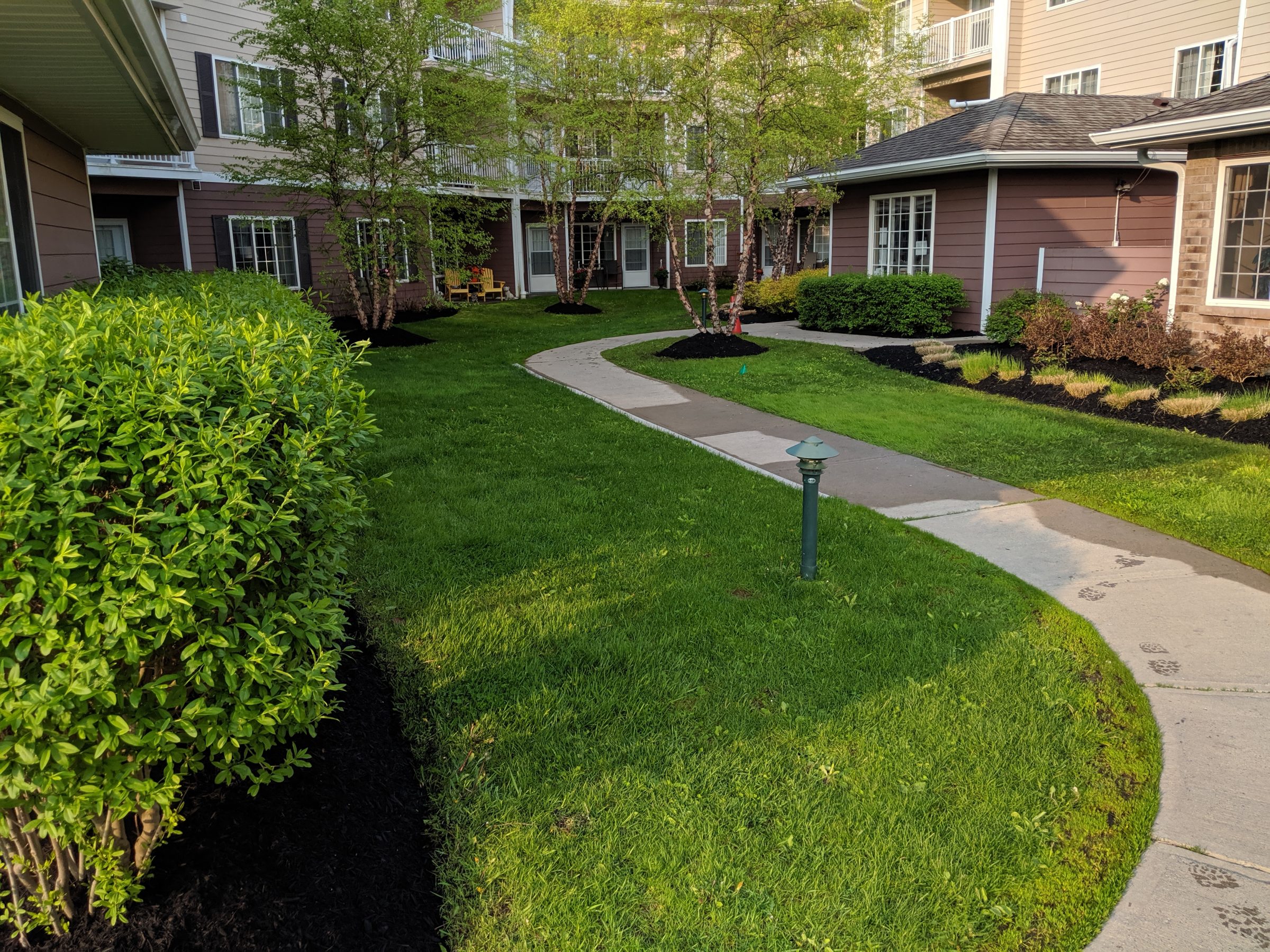 Lush garden path with building view