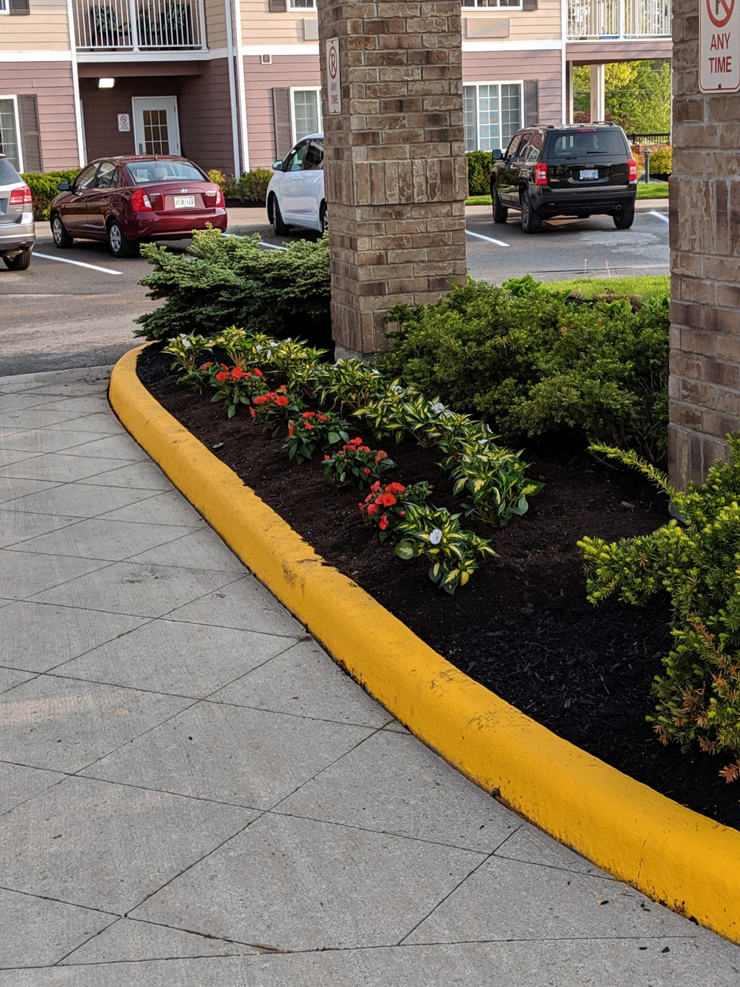Colorful flowers along building walkway.