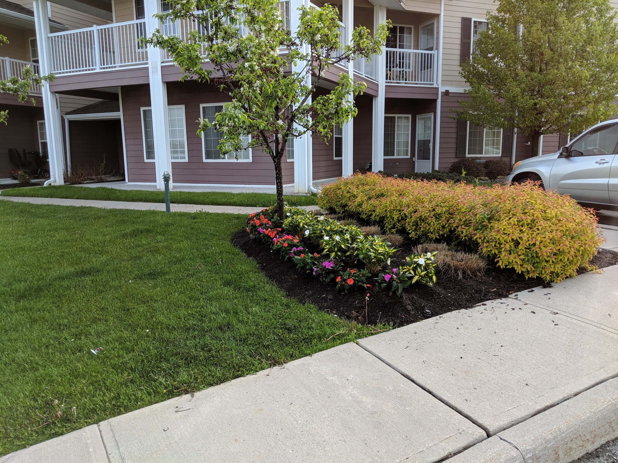 Front garden with colorful flowers and shrubs.