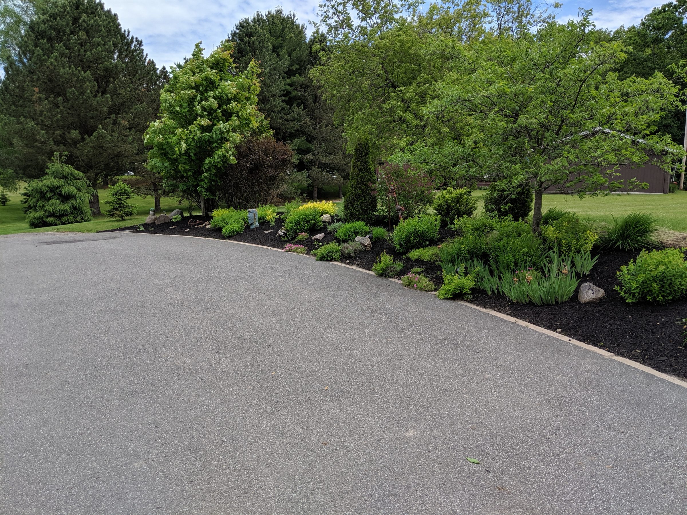 Lush garden beside paved walkway on sunny day.