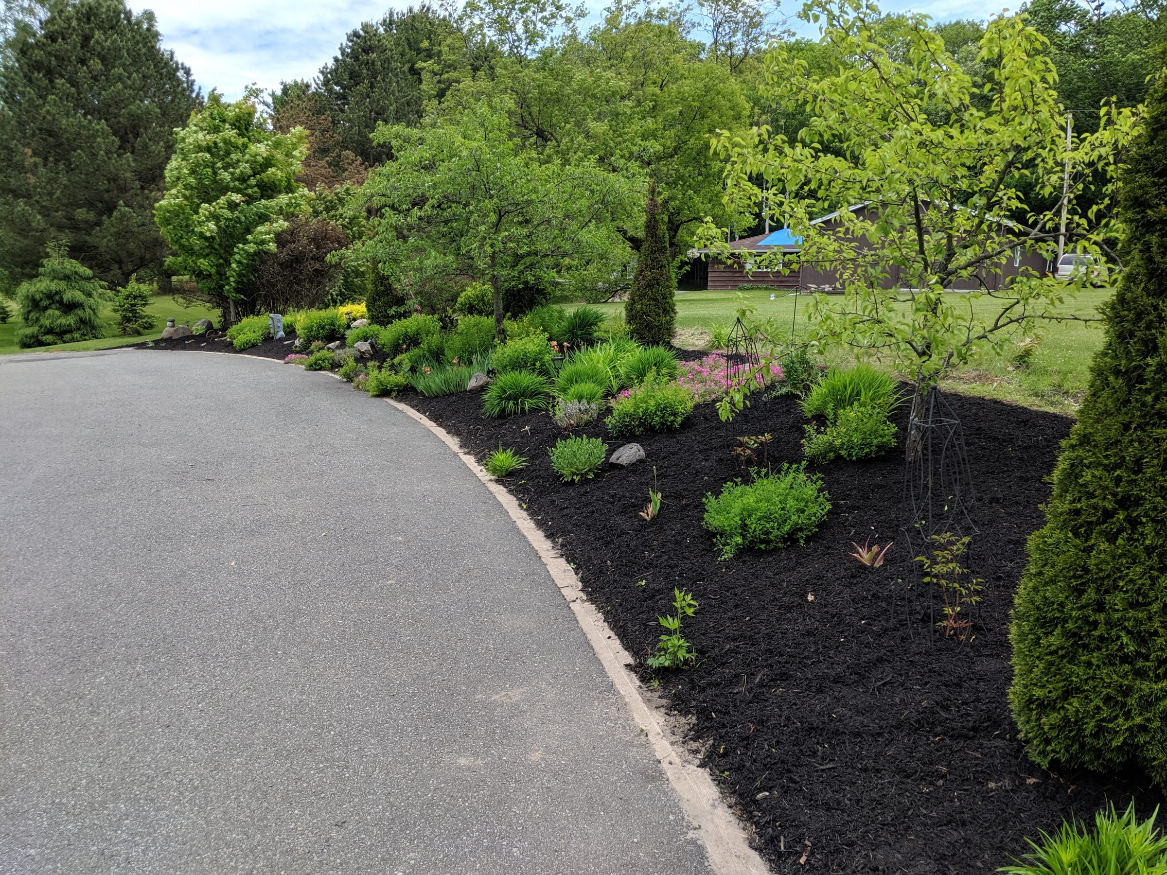 Beautiful landscaped garden alongside a paved pathway.
