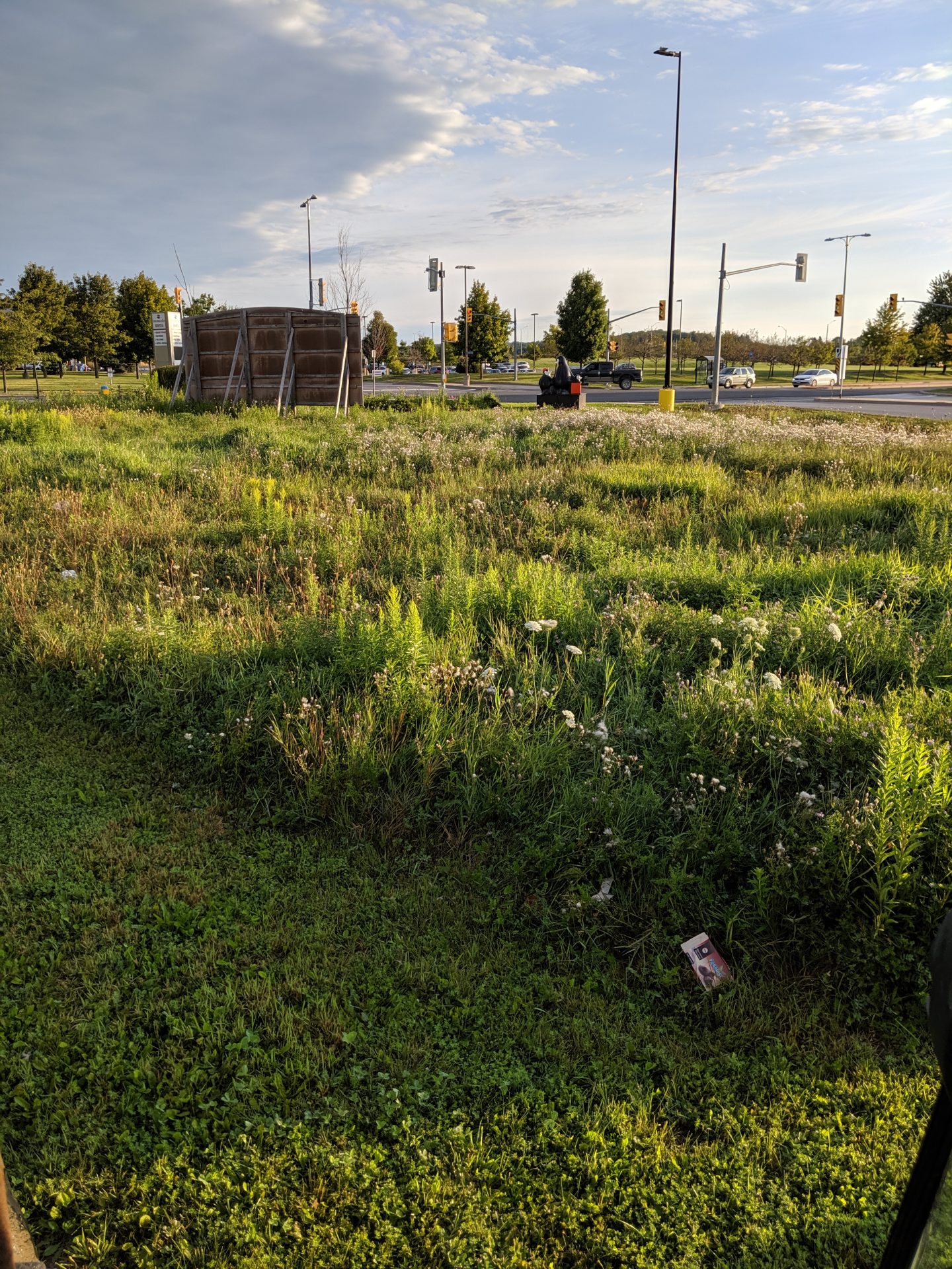 Green field with road and traffic signs in background.