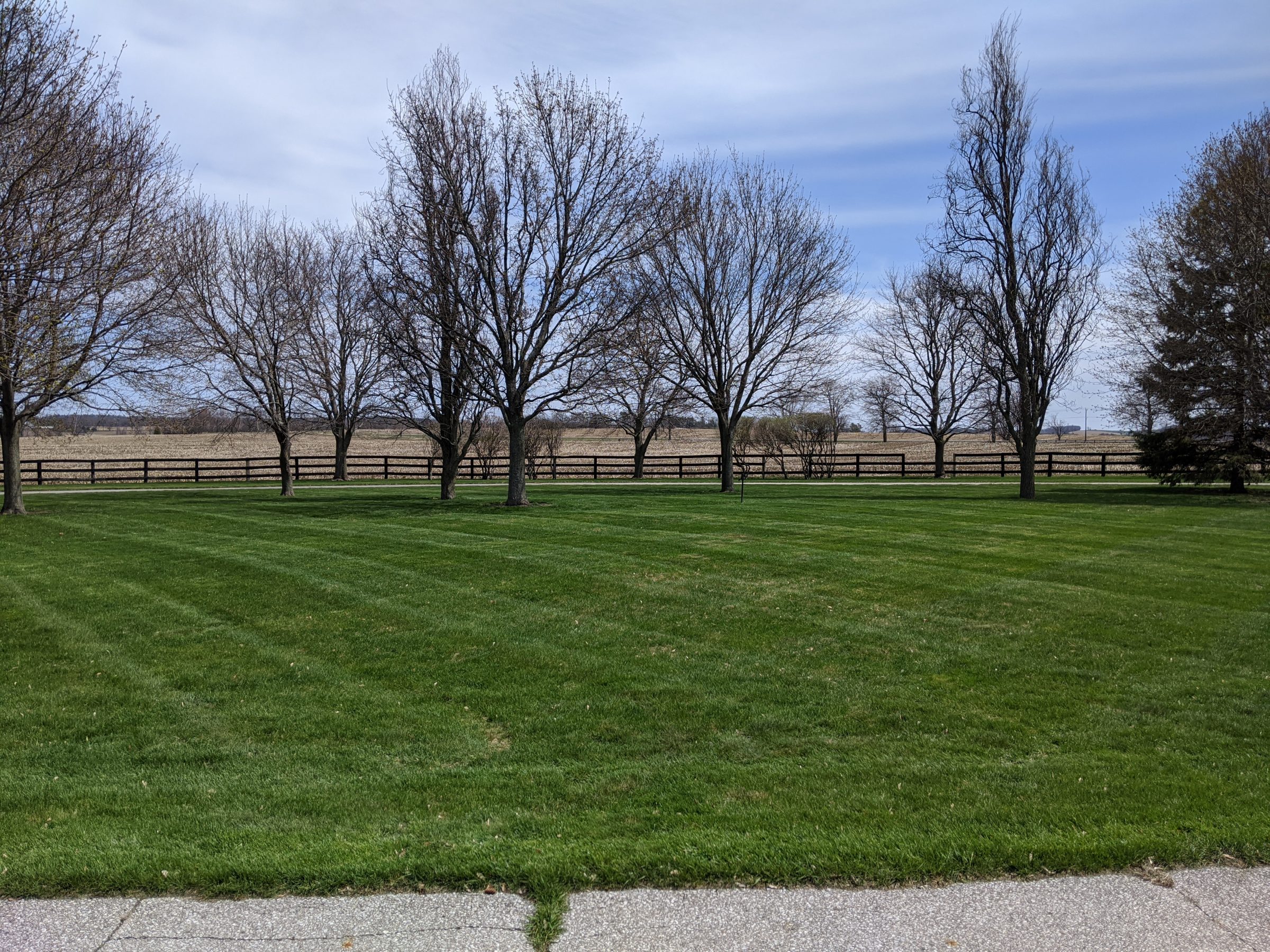 Green lawn with bare trees and wooden fence.