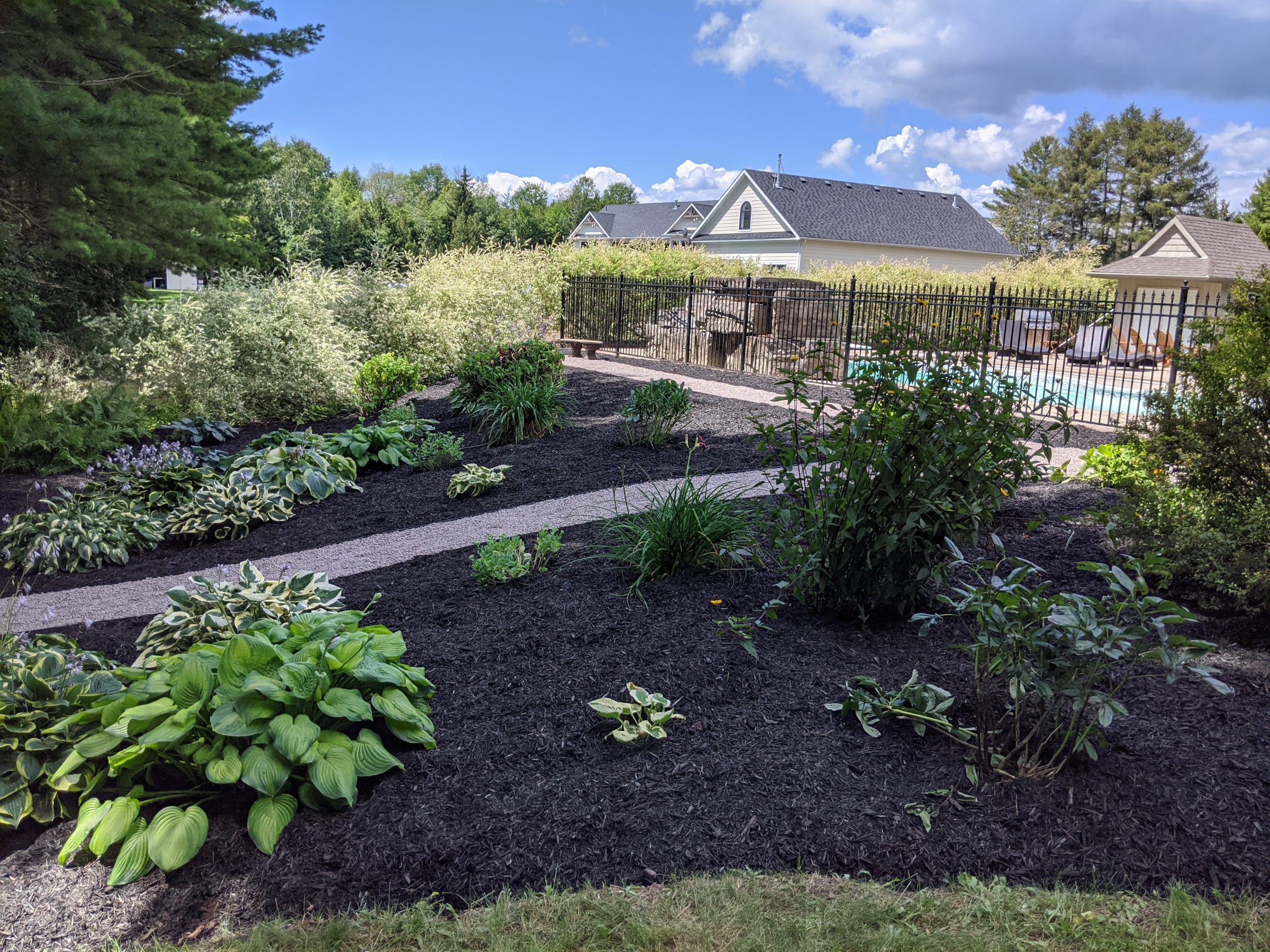Garden with path, shrubs, and pool in background.