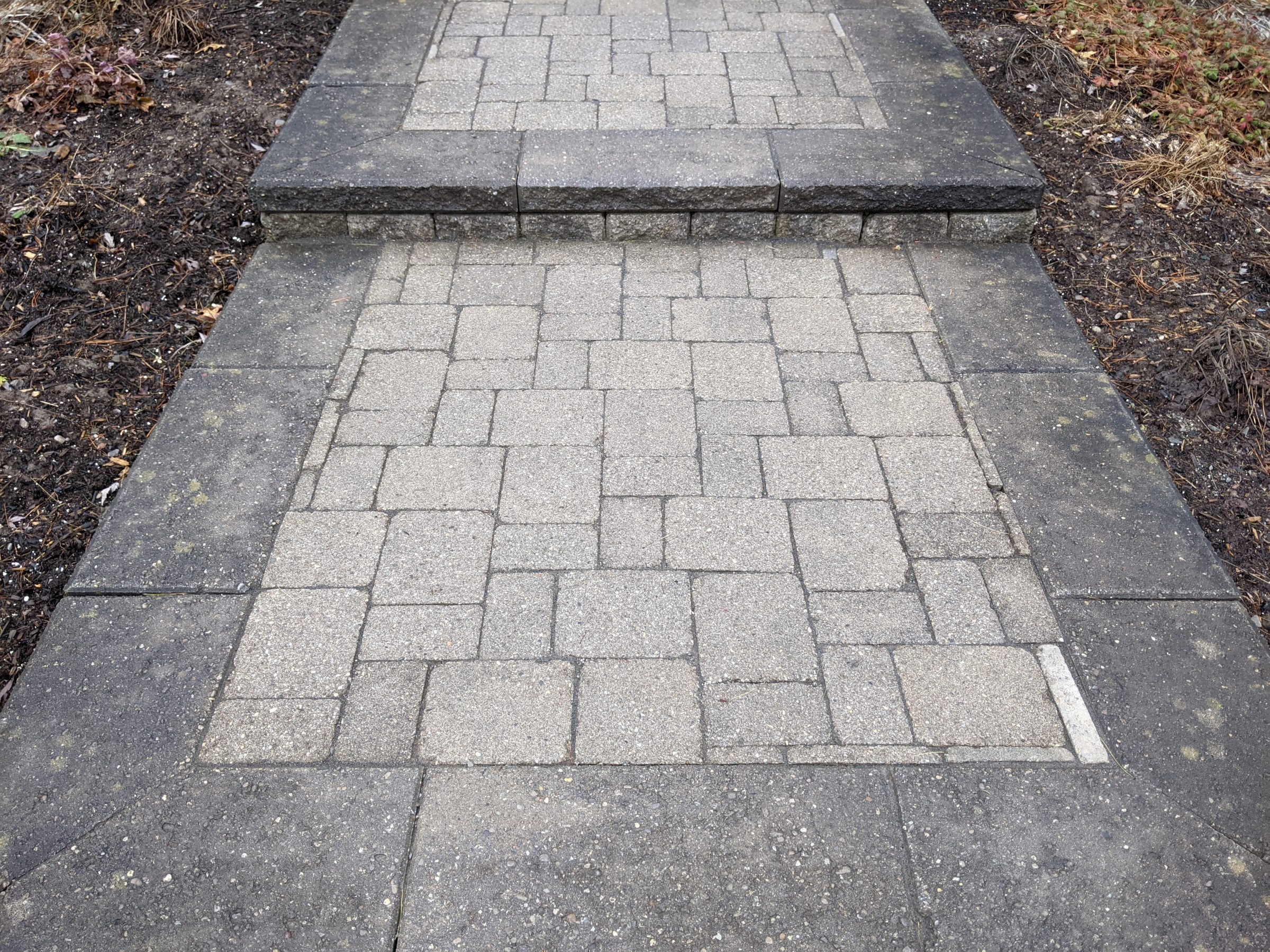 Stone pathway with a single step