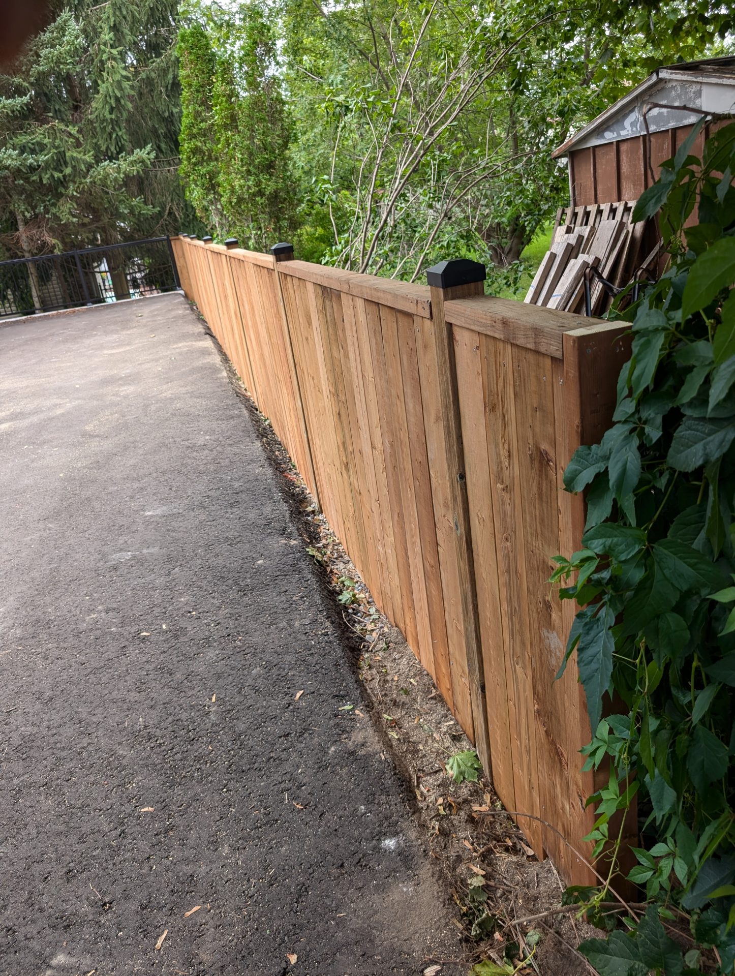 Wooden fence along driveway with greenery.