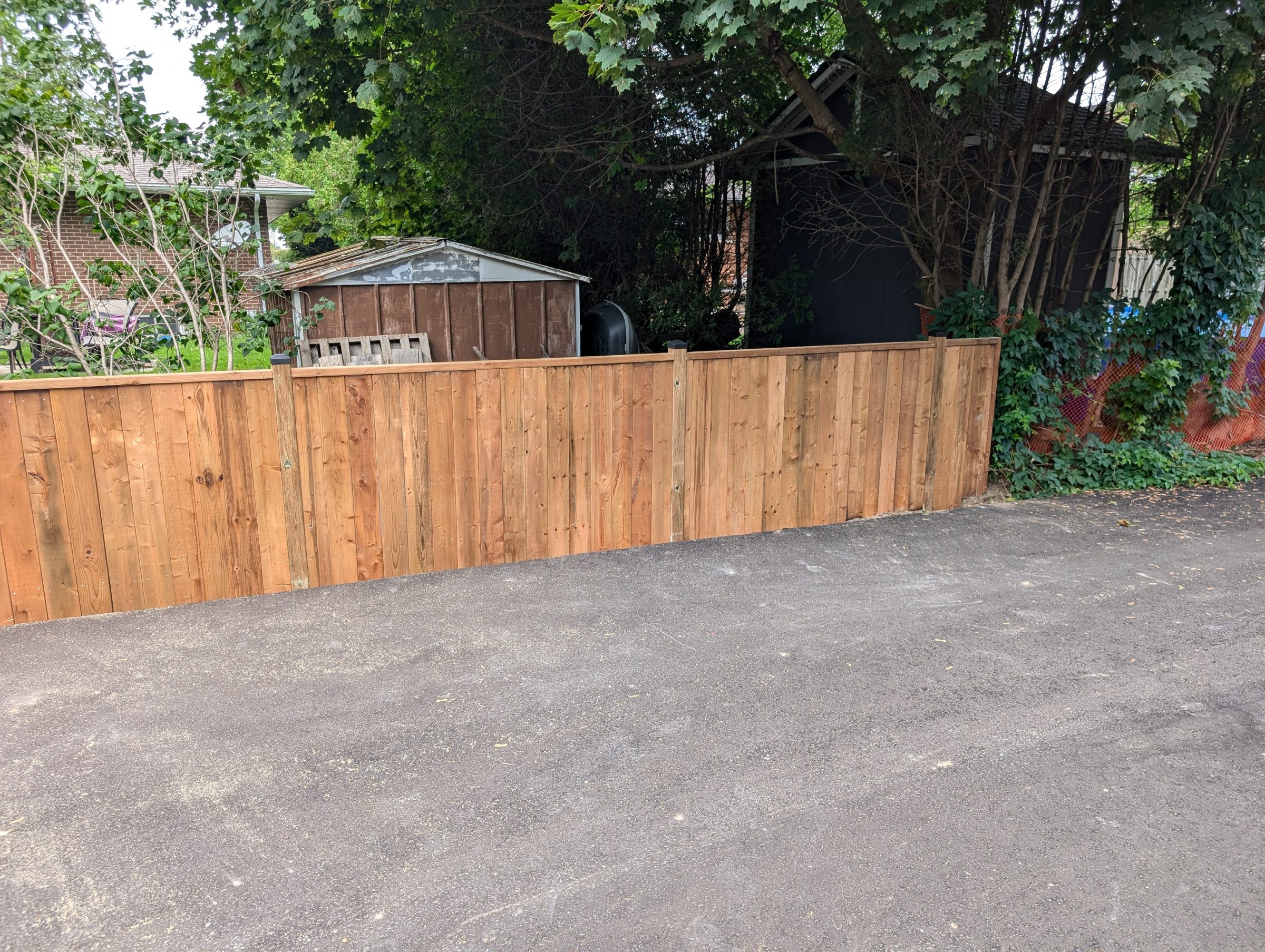 Wooden fence in a backyard setting