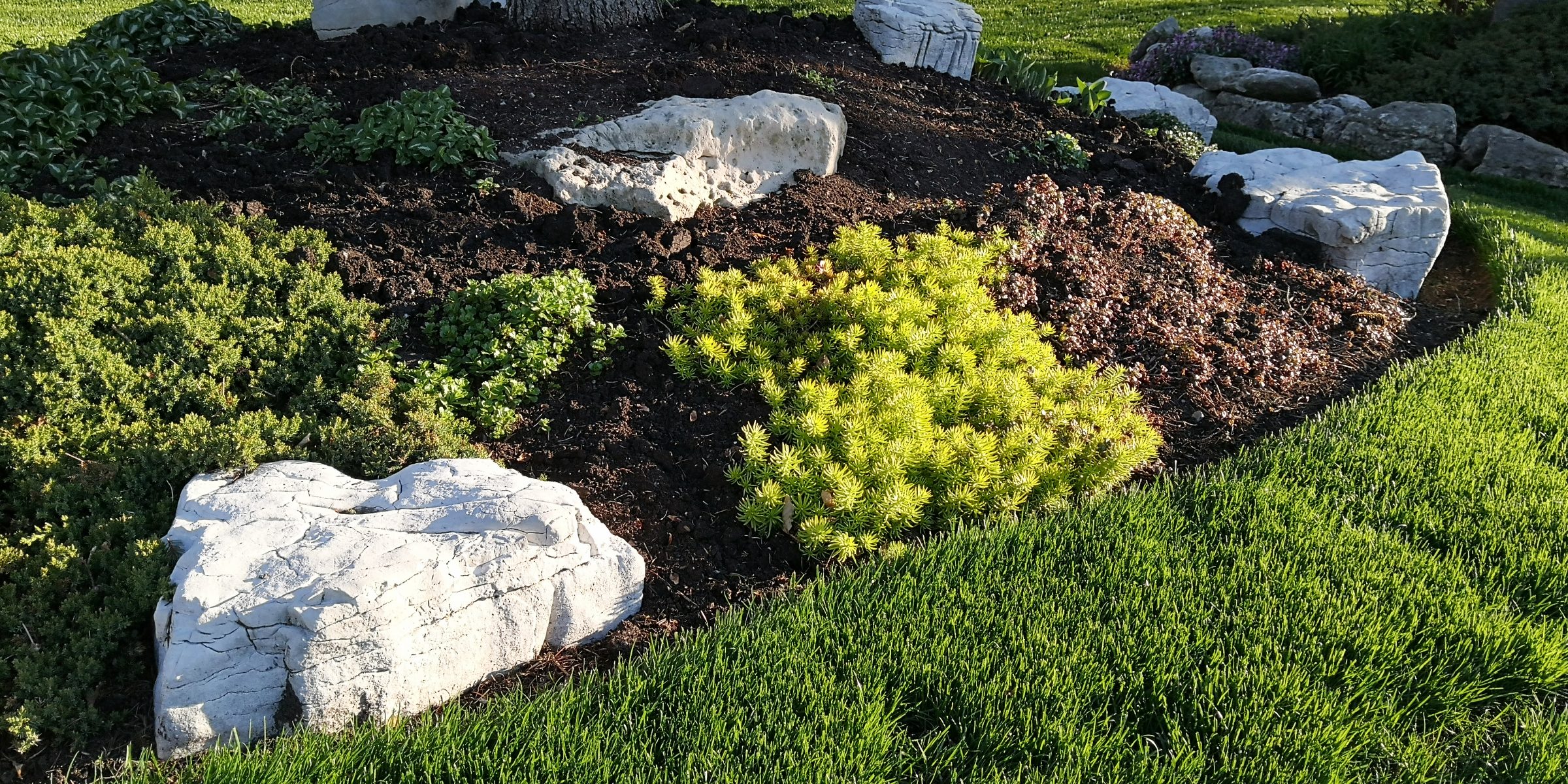 Decorative rock garden with green shrubs and grass.