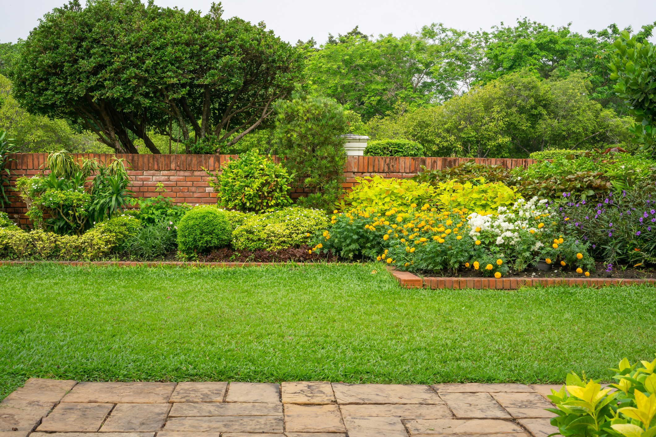 Vibrant garden with yellow and white flowers.