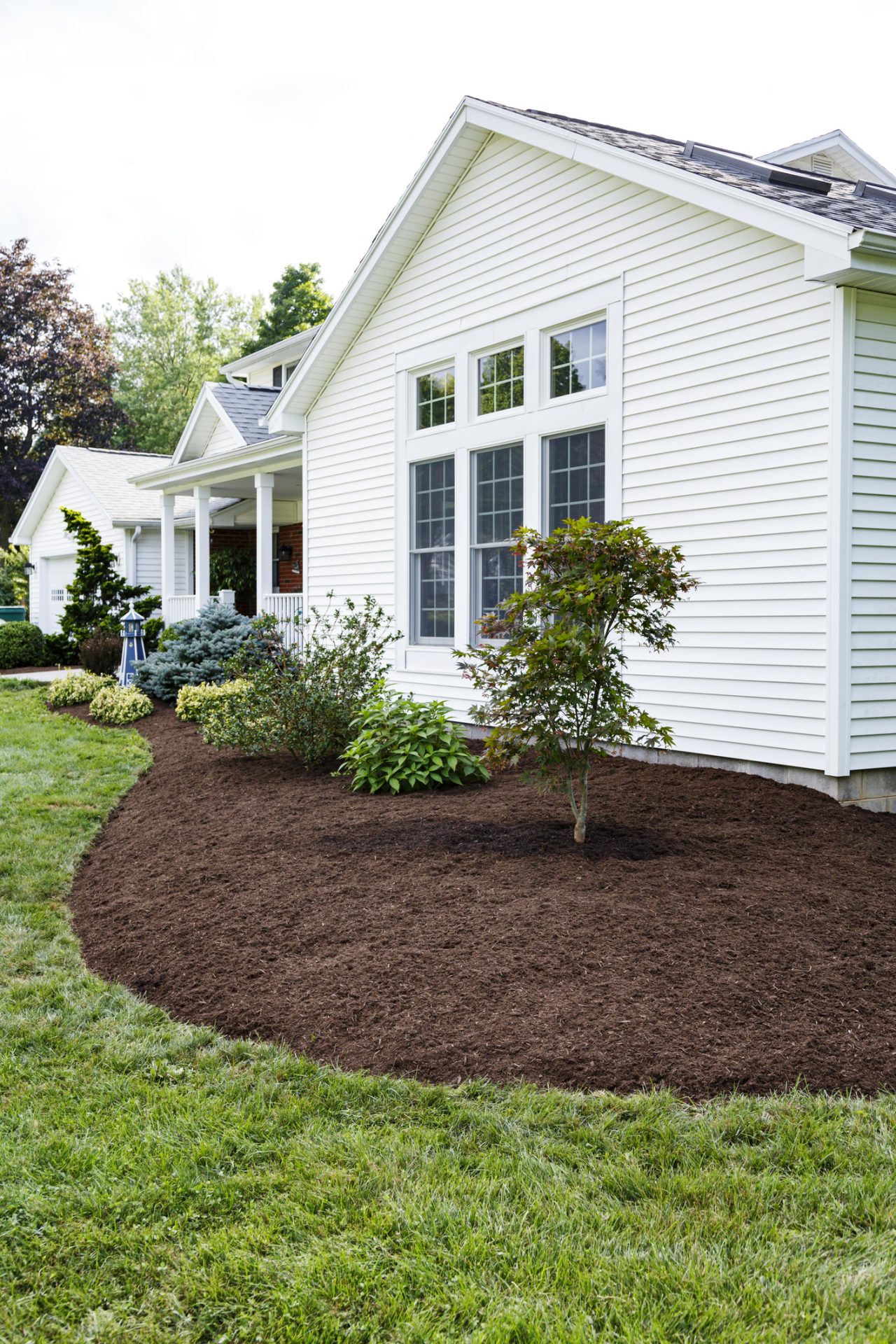 Front yard landscaping with mulch and plants
