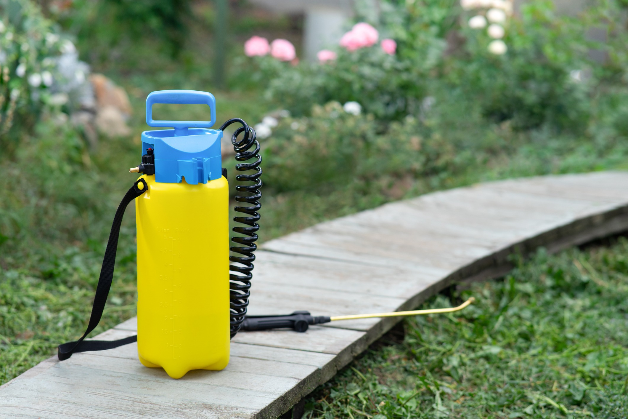 Yellow garden sprayer on wooden path, flowers nearby.