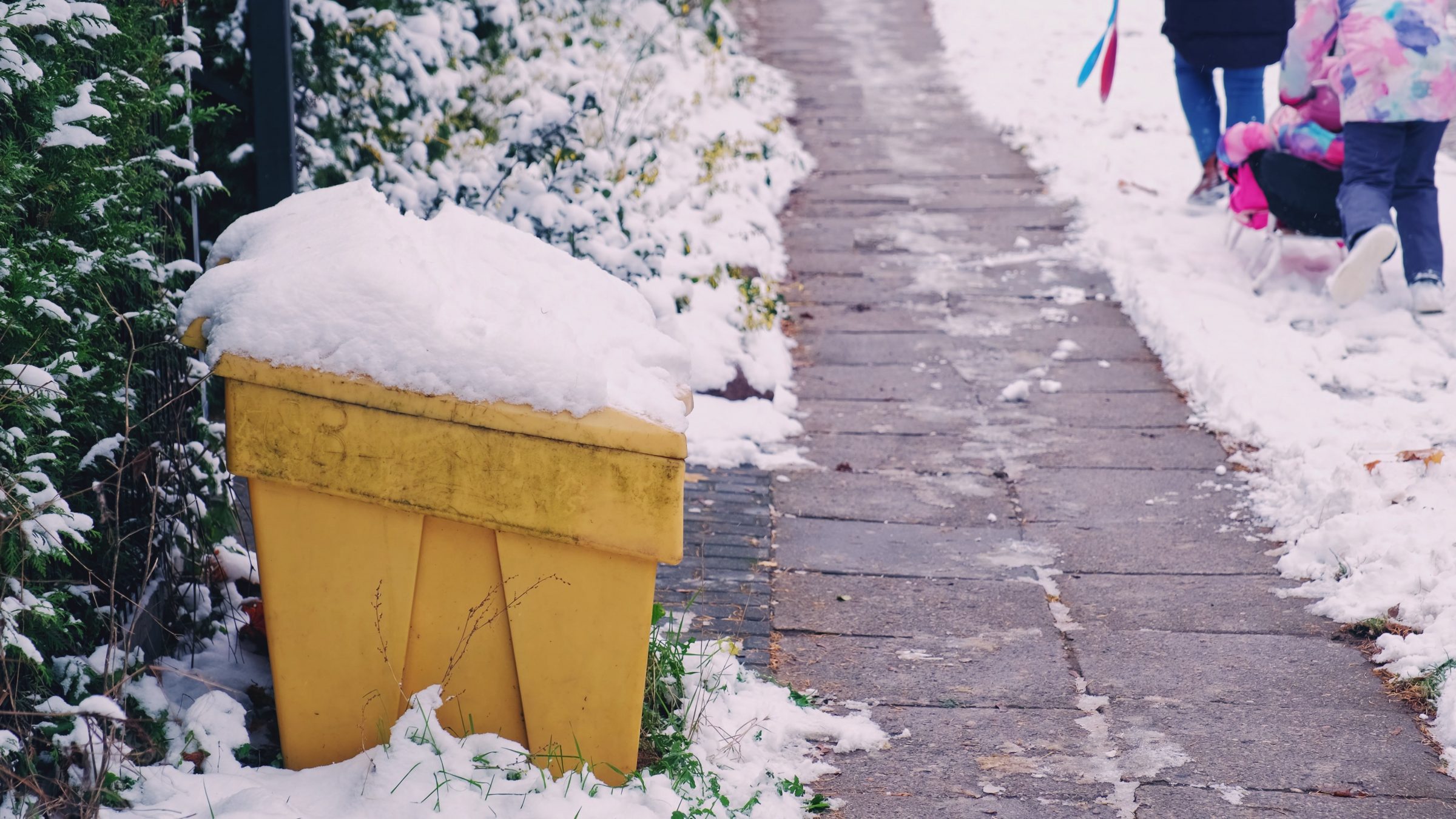 Snow-covered bin and snowy sidewalk path