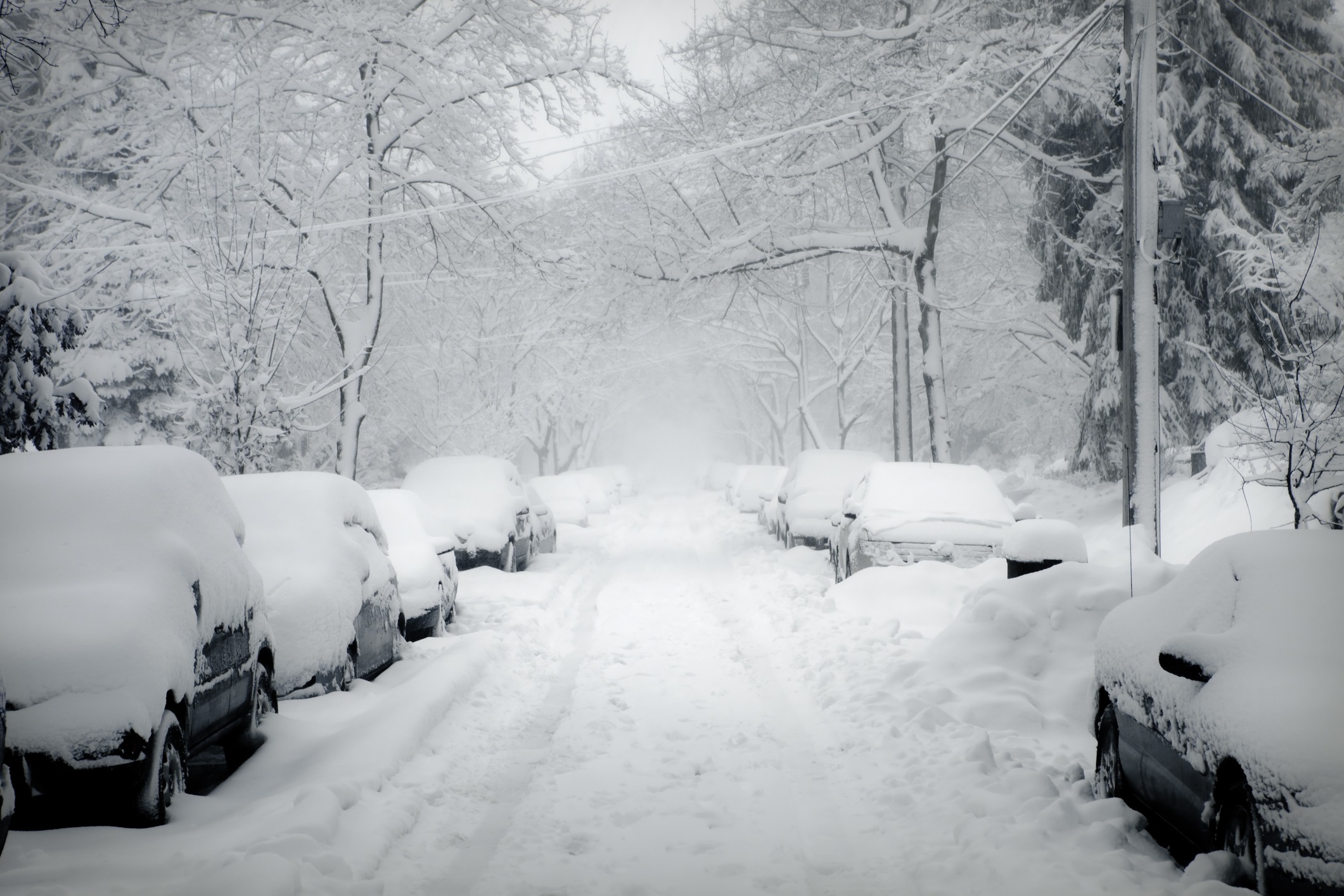 Snow-covered street with parked cars and trees.