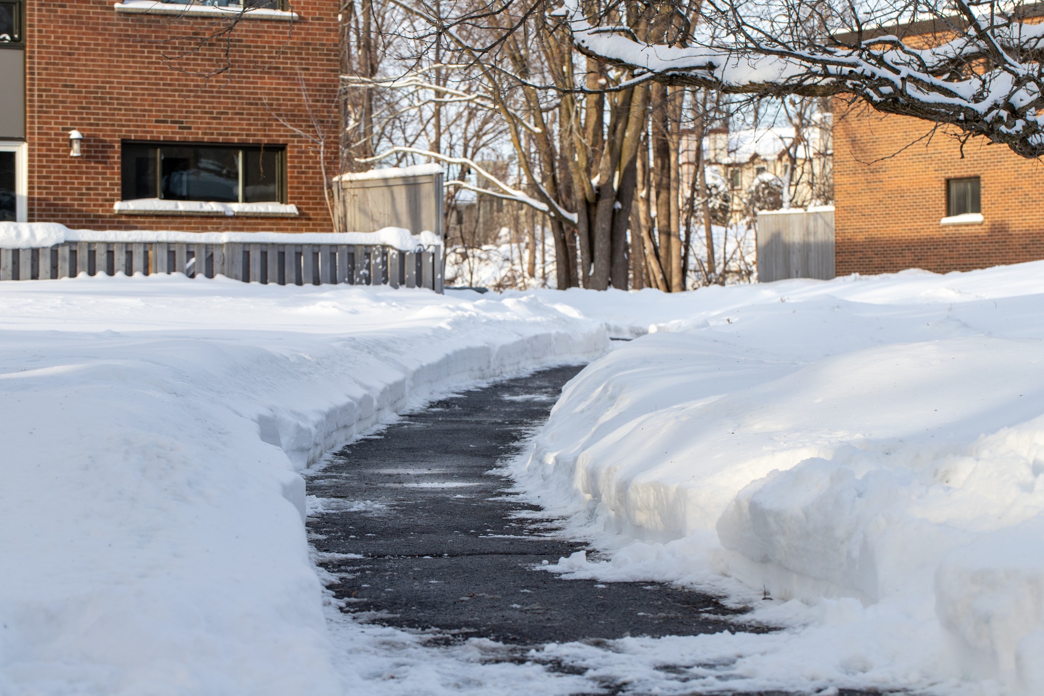 Snowy path between brick buildings and trees