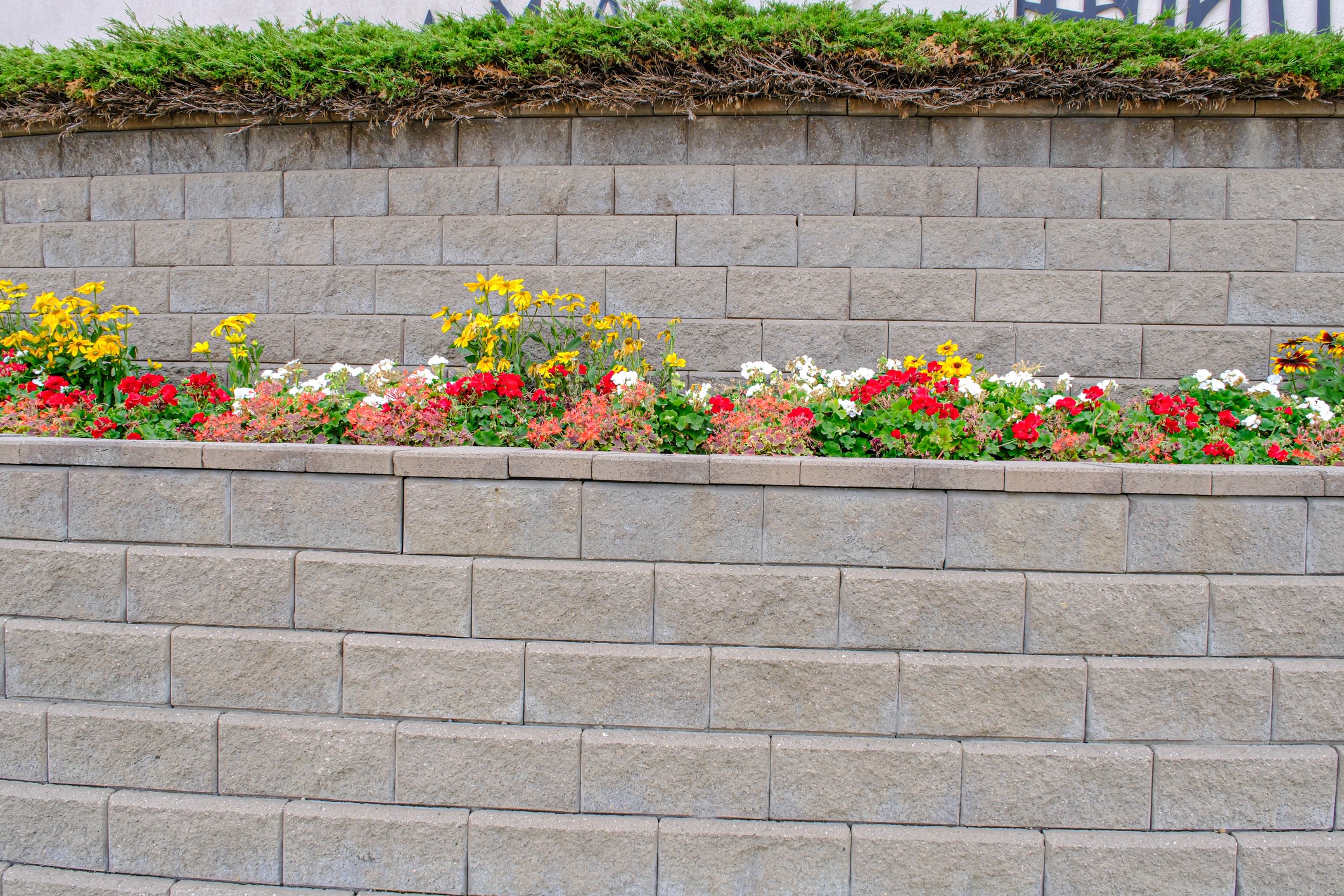 Colorful flowers on terraced stone wall