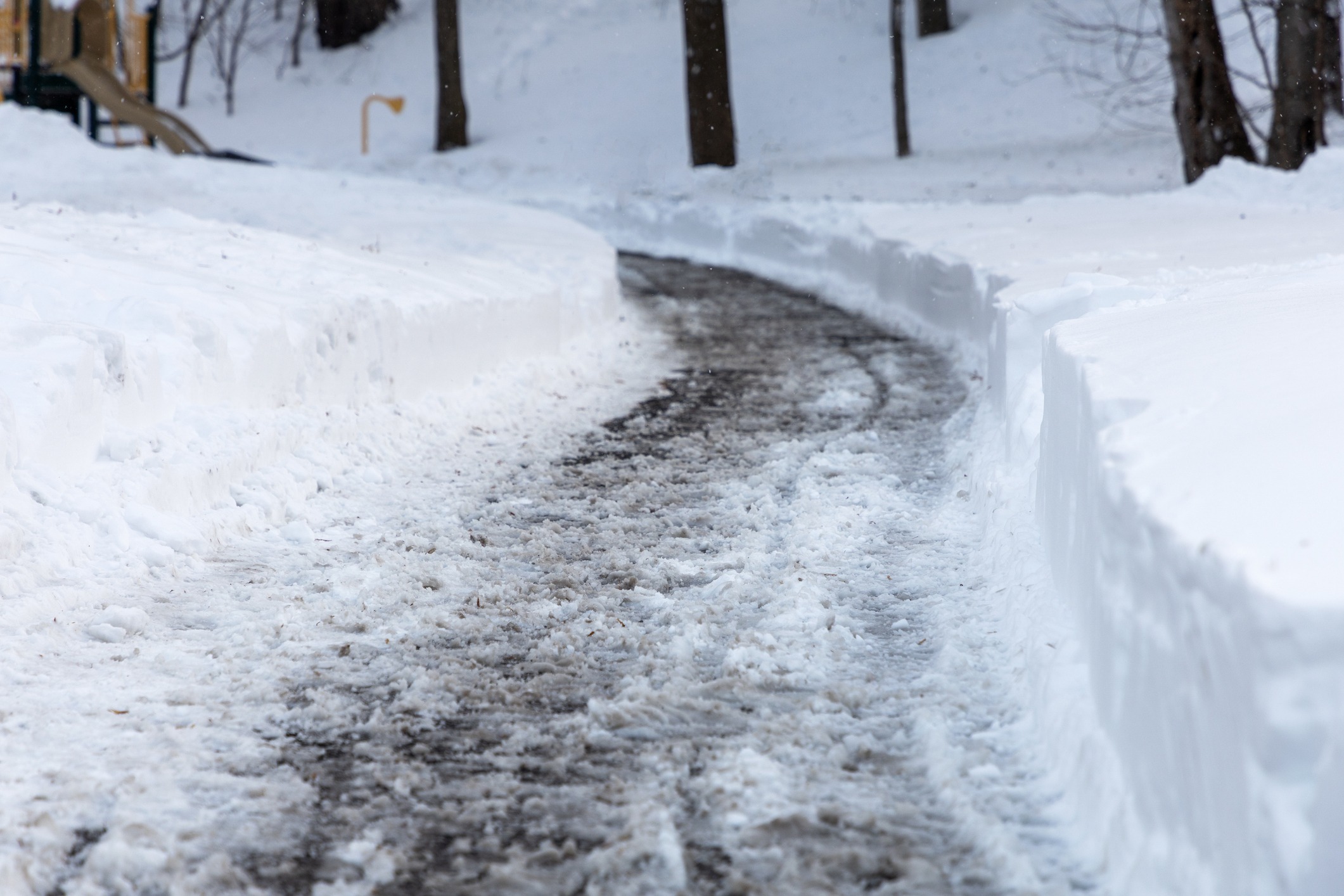 Snowy path through winter forest