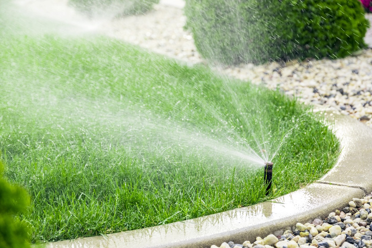 Garden sprinkler watering lush green grass