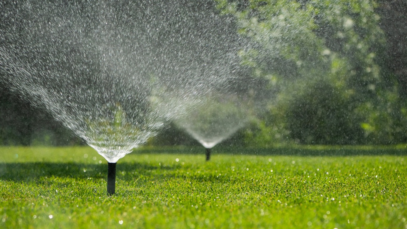 Lawn sprinklers watering green grass outdoors