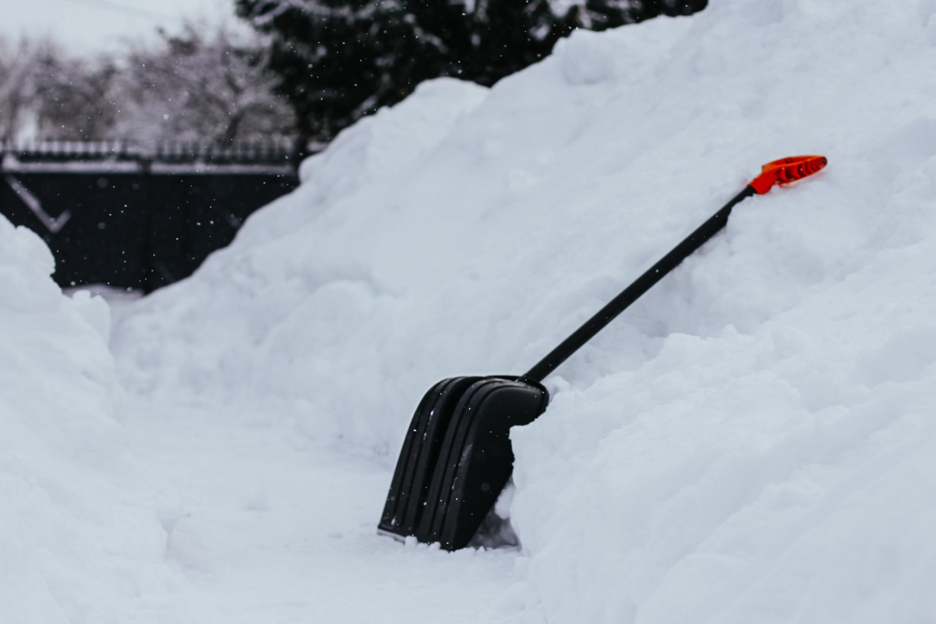 Snow shovel leaning against snow pile