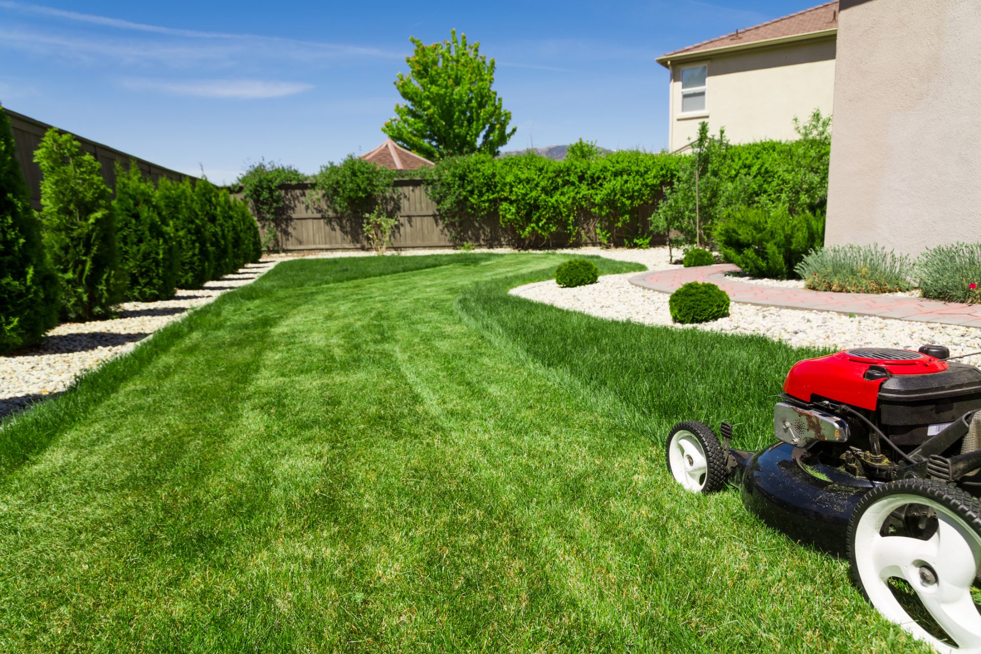 Lawnmower on freshly cut green grass in backyard.